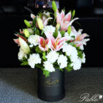 5 Star Bucket - Image 2