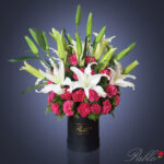 5 Star Bucket - Image 4