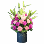 5 Star Bucket - Image 5