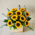 Sunshine Box - Image 2