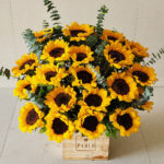 Sunshine Box - Image 3