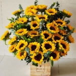 Sunshine Box - Image 4