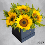 Sunshine Cube