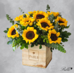 Sunshine Box